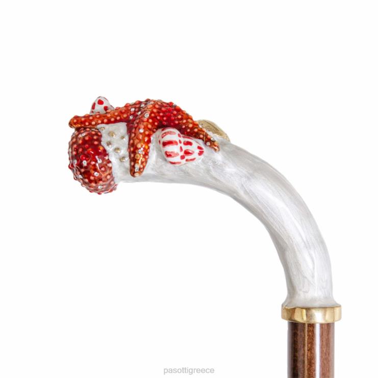 ομπρέλα | PASOTTI 189 9l476-1 k93 - ομπρέλα αστερίας 2N6B8538 γυναίκες